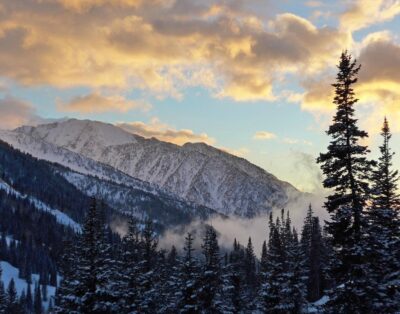 Iron Blosam Lodge Listing # 20251111-1248