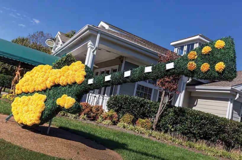 Club Wyndham Nashville2